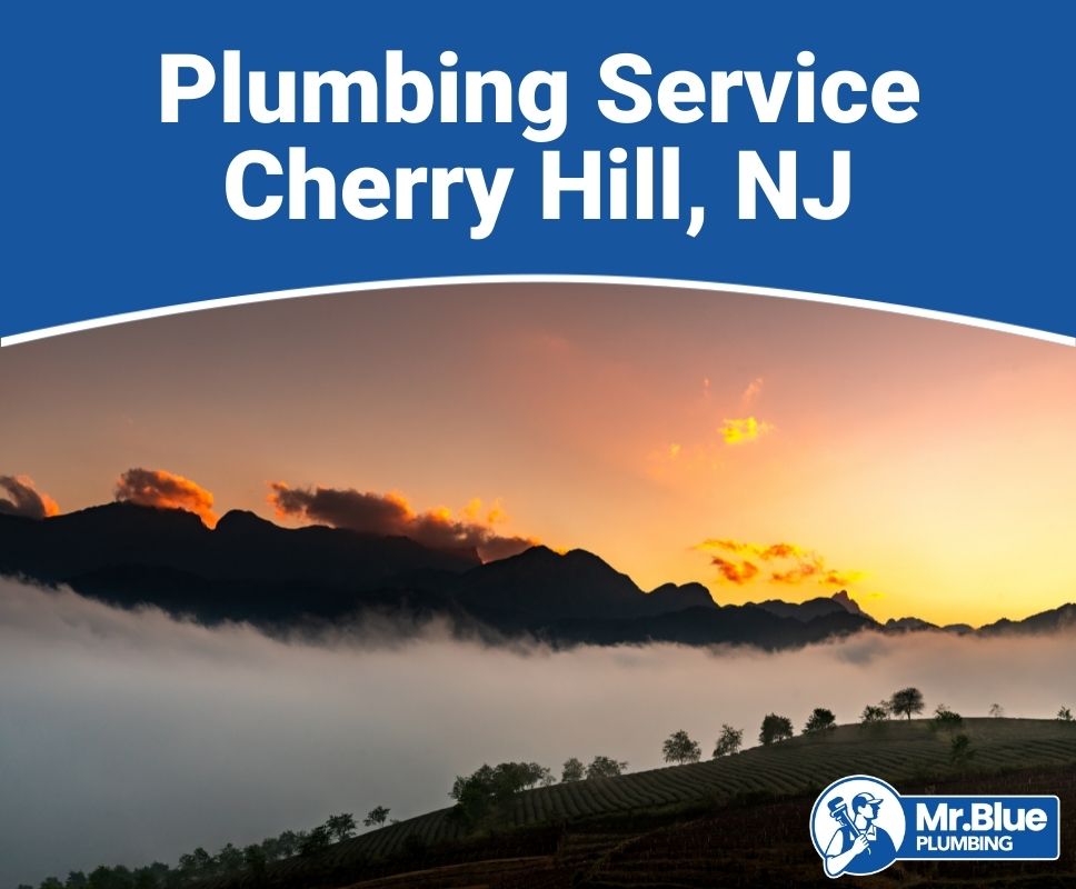 Plumbing Service Cherry Hill, NJ