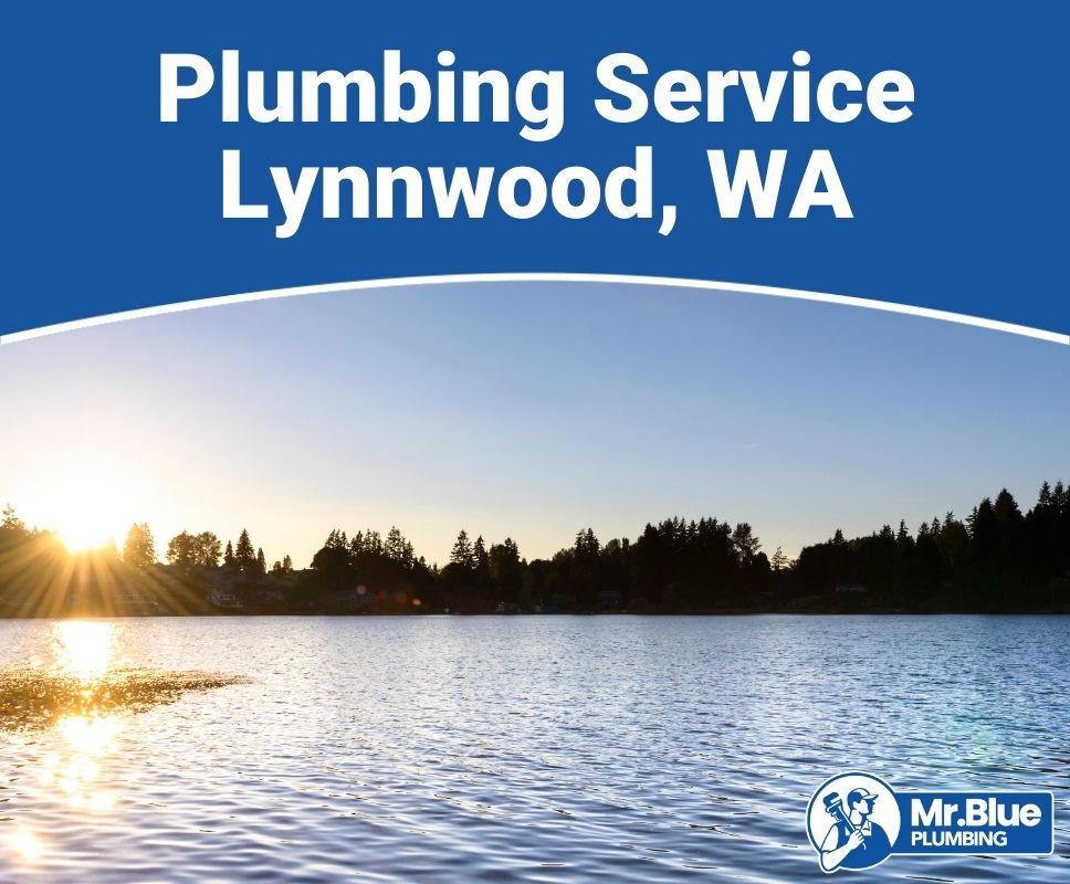 Plumbing Service Lynnwood, WA