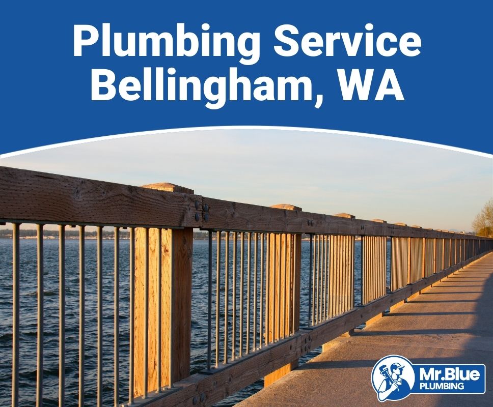Plumbing Service Bellingham, WA