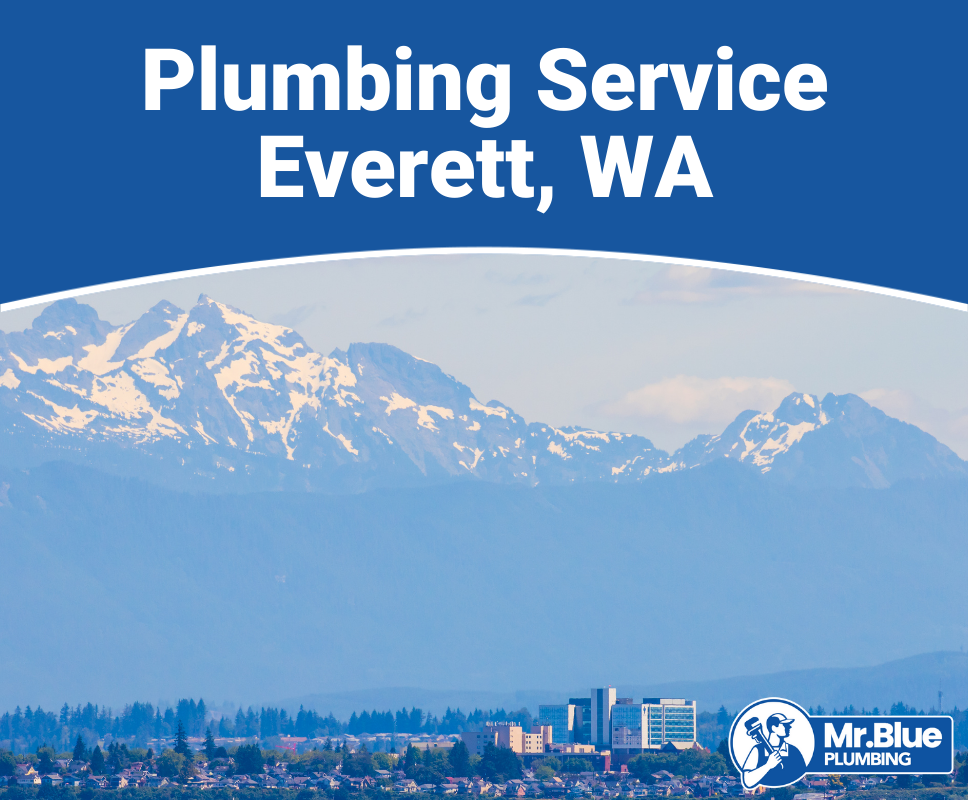 Plumbing Service Everett, WA