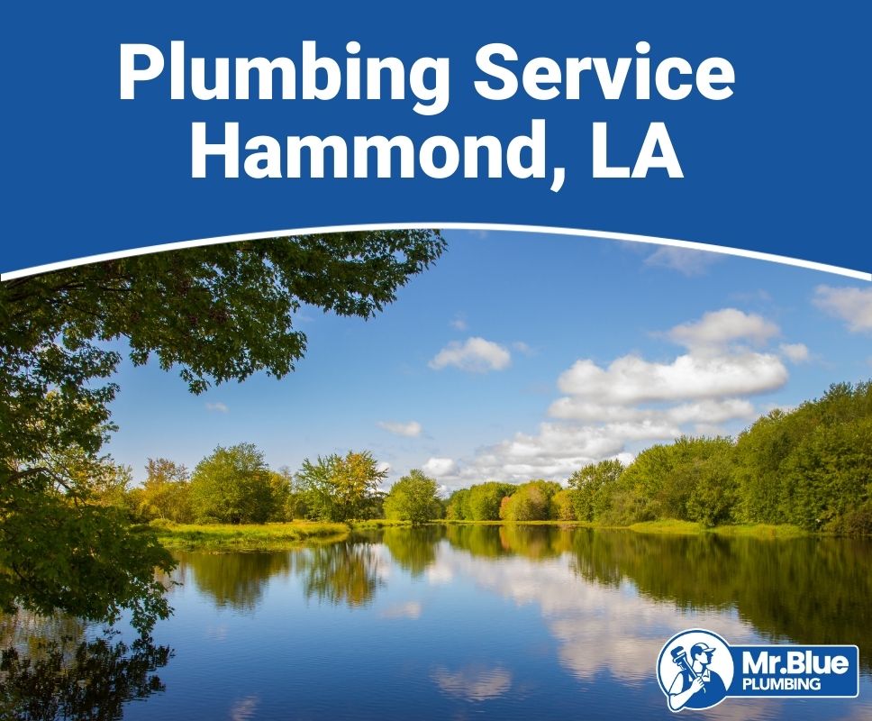 Plumbing Service Hammond, LA
