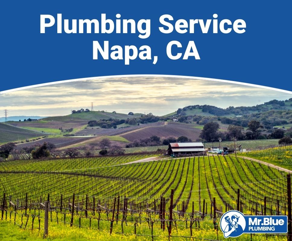 Plumbing Service Napa, CA