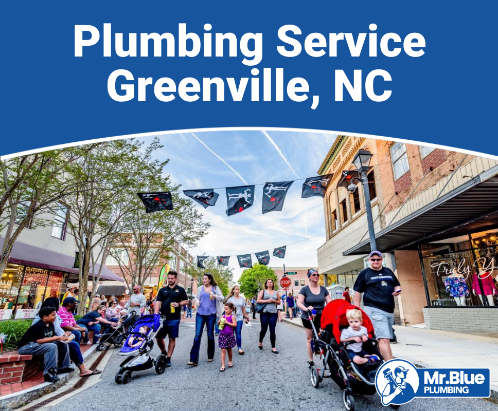 Plumbing Service Port Greenville, NC