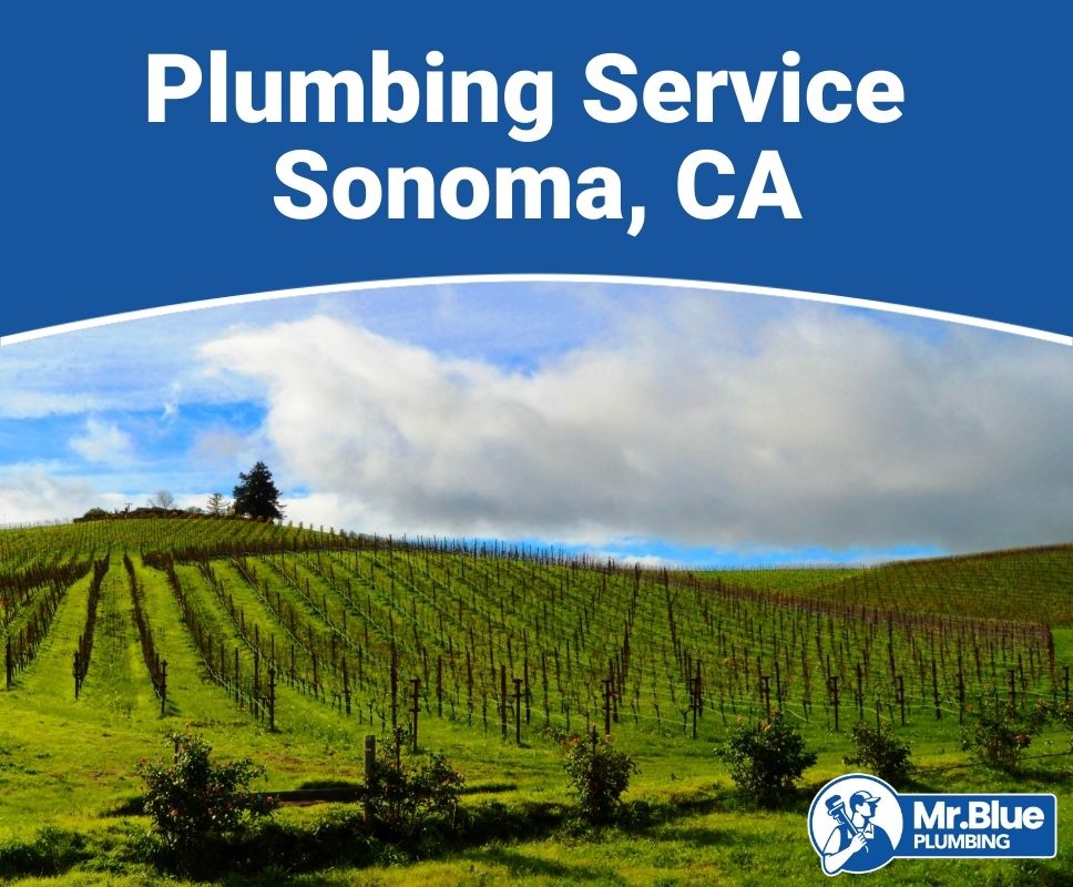 Plumbing Service Sonoma, CA