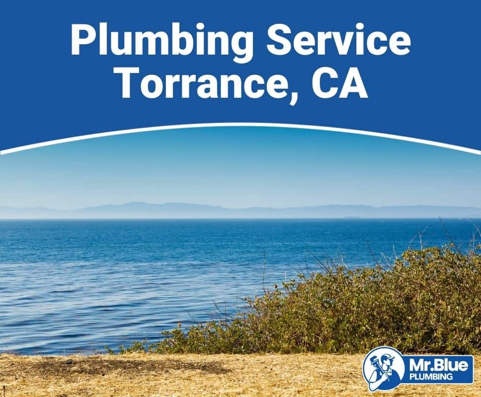 Plumbing Service Torrance, CA