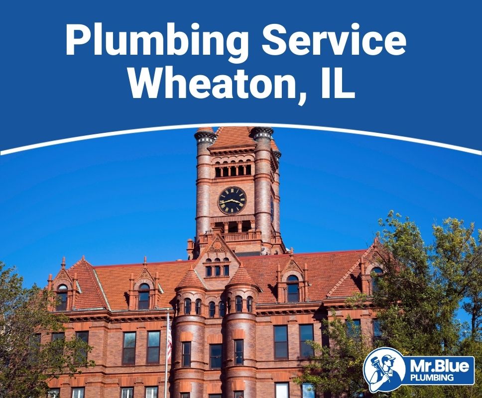 Plumbing Service Wheaton, IL