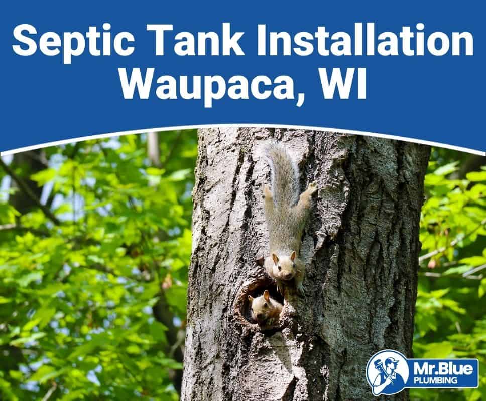 Septic Tank Installation Waupaca, WI