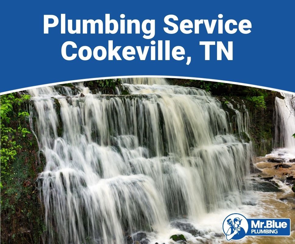 Plumbing Service Cookeville, TN