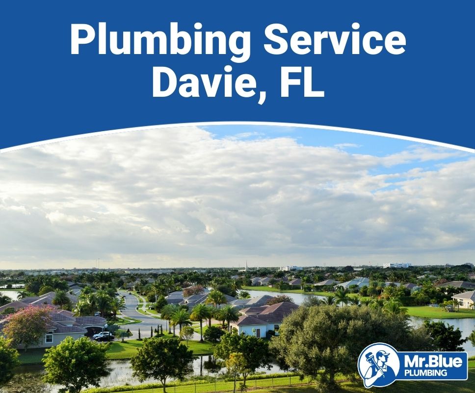 Plumbing Service Davie, FL(1)