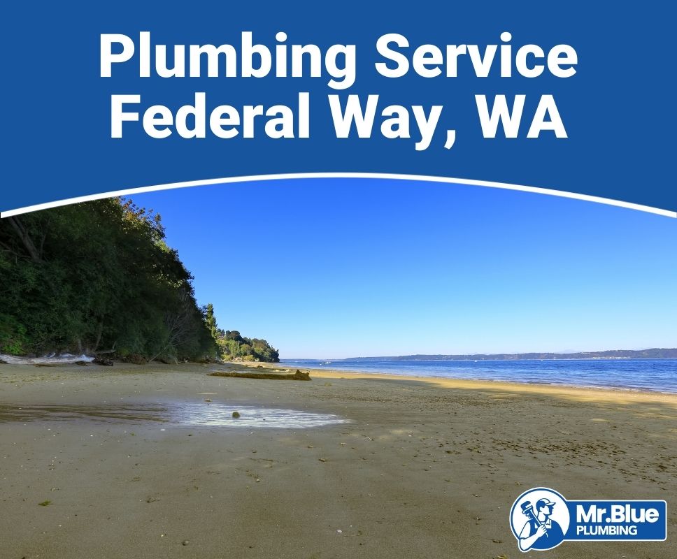 Plumbing Service Federal Way, WA