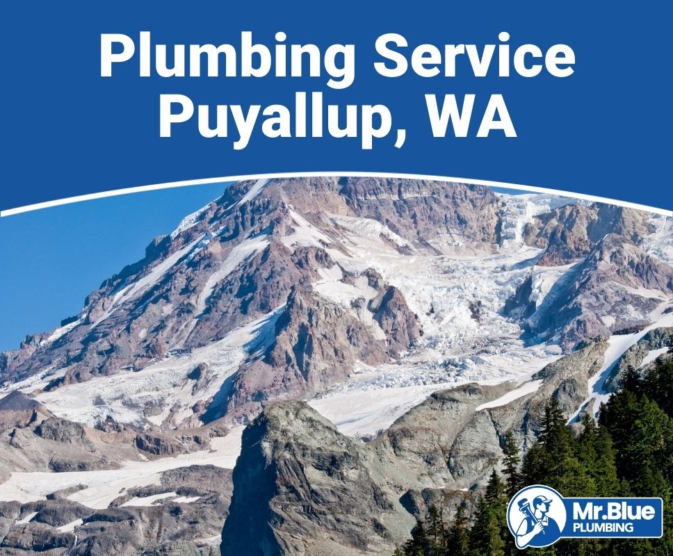 Plumbing Service Puyallup, WA
