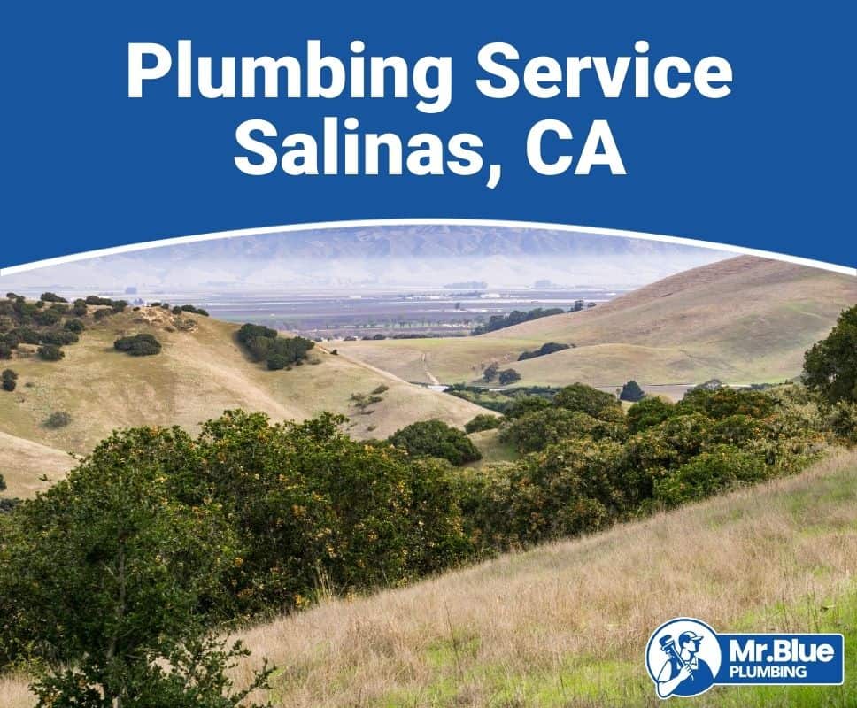 Plumbing Service Salinas, CA
