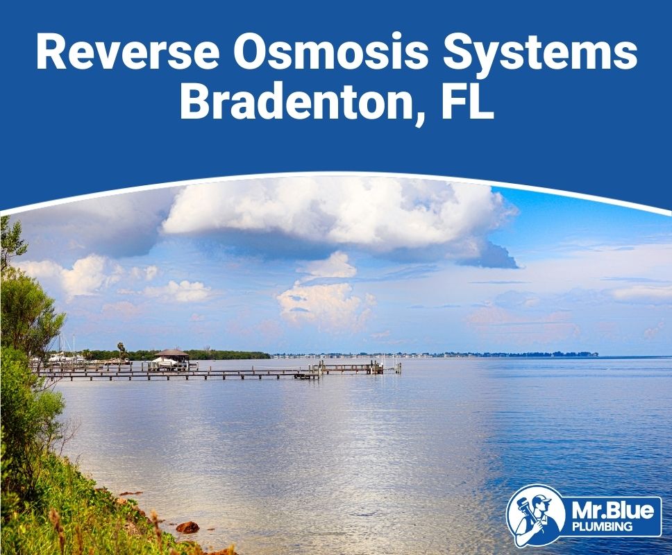 Reverse Osmosis Systems Bradenton, FL