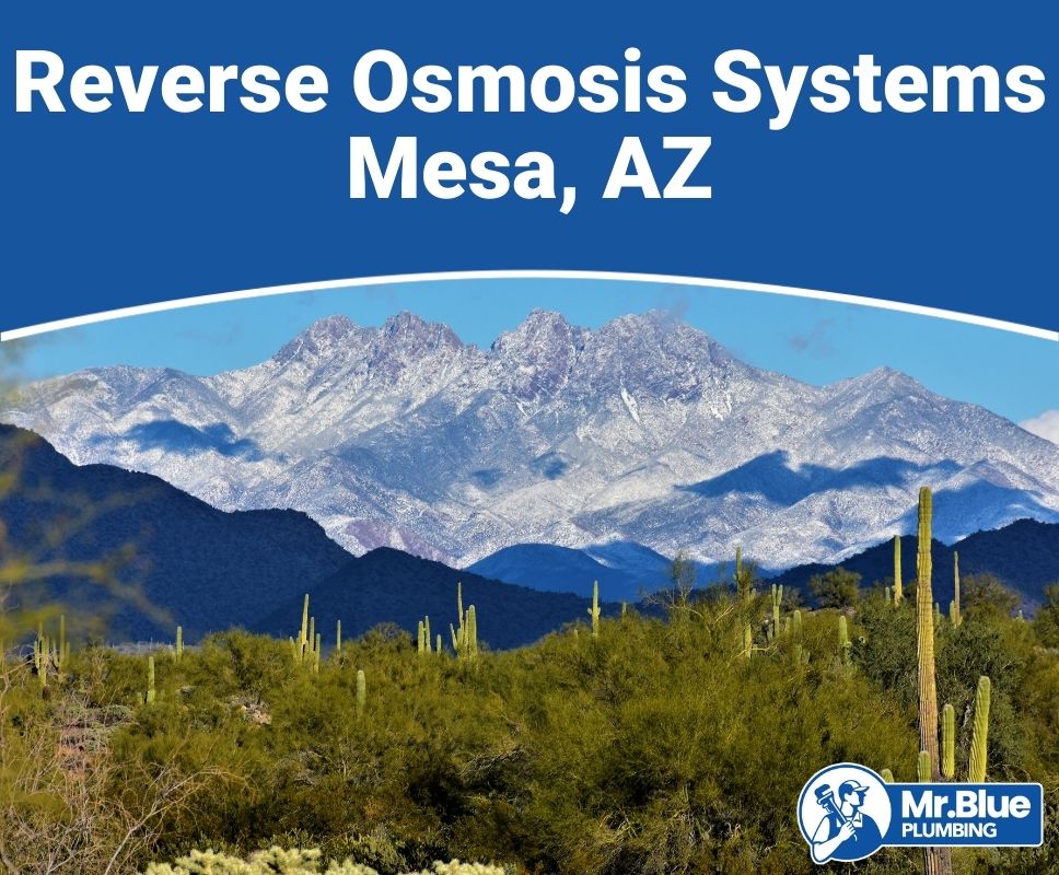 Reverse Osmosis Systems Mesa, AZ