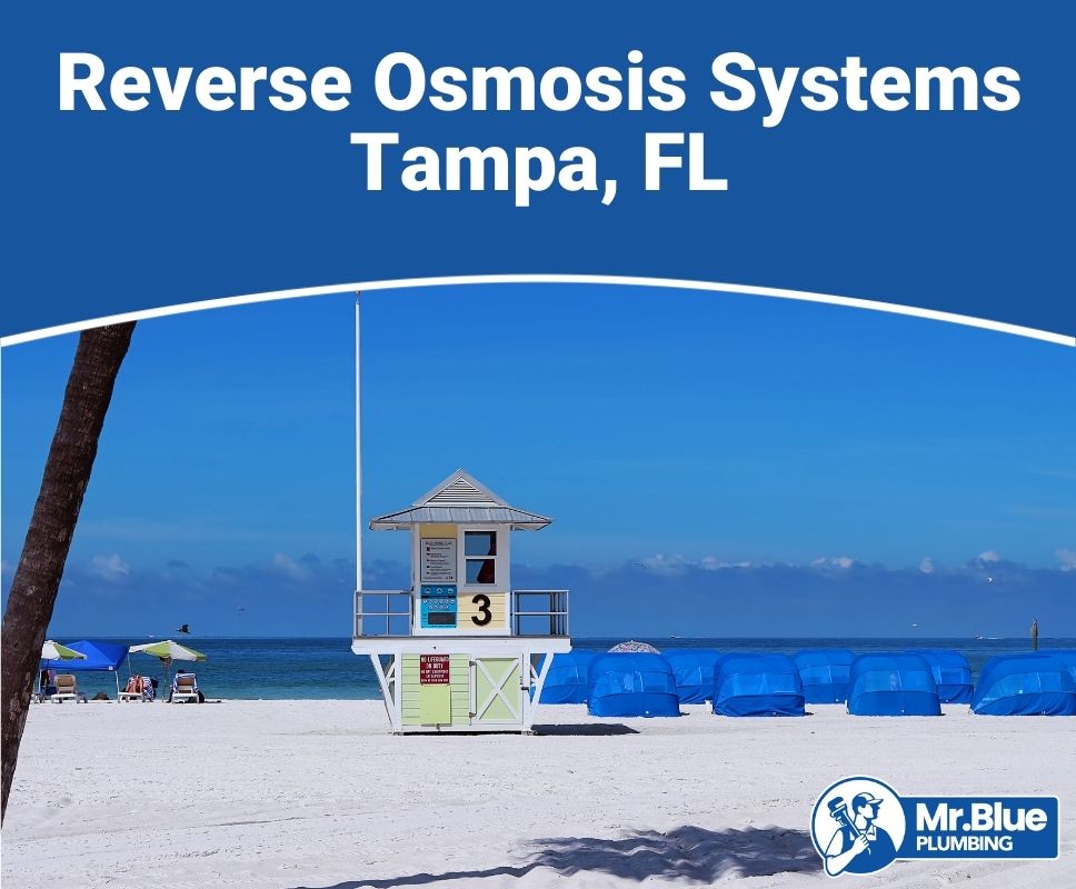 Reverse Osmosis Systems Tampa, FL